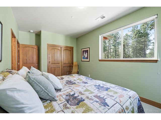 13694 Drake Ct, Pine, CO 80470