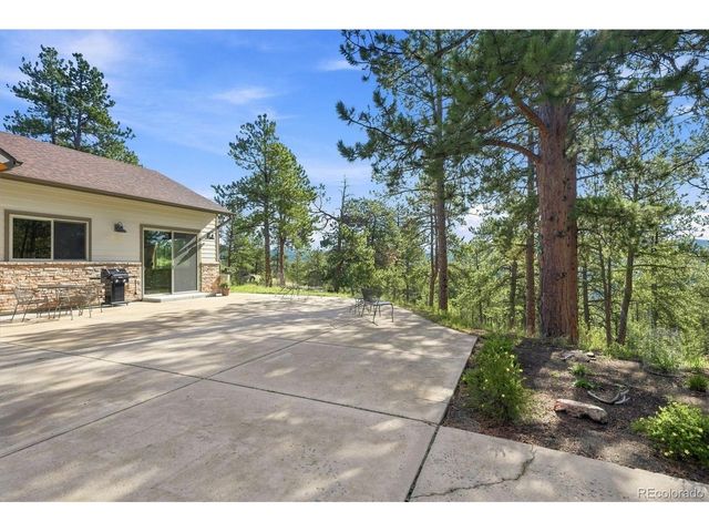13694 Drake Ct, Pine, CO 80470