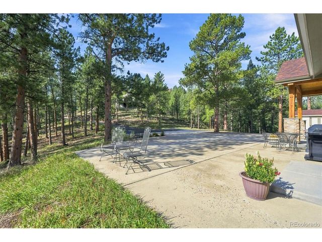 13694 Drake Ct, Pine, CO 80470