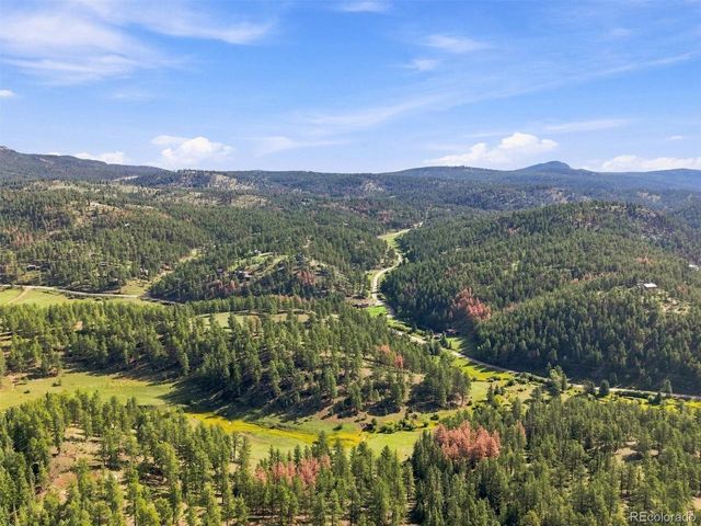 13694 Drake Ct, Pine, CO 80470