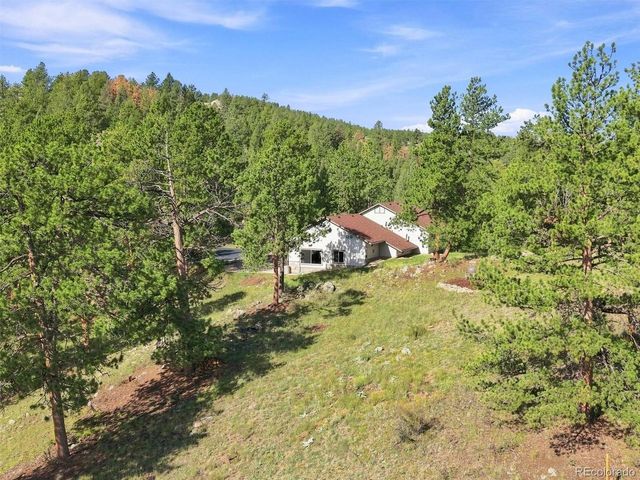 13694 Drake Ct, Pine, CO 80470