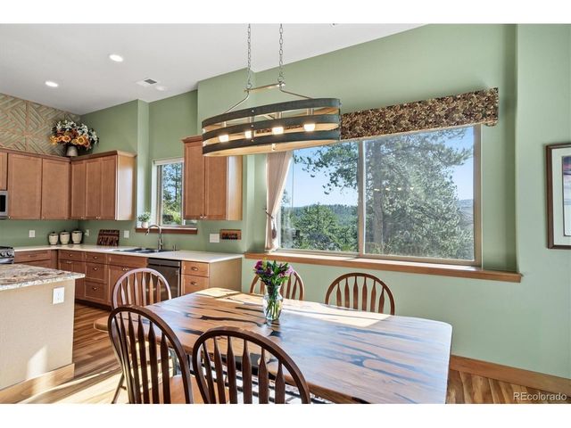13694 Drake Ct, Pine, CO 80470