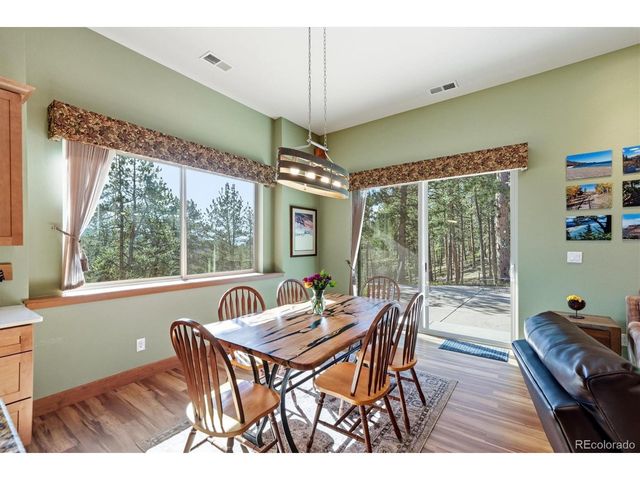 13694 Drake Ct, Pine, CO 80470