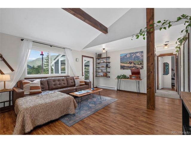336 E Mountain Ave, Empire, CO 80438