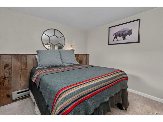 336 E Mountain Ave, Empire, CO 80438