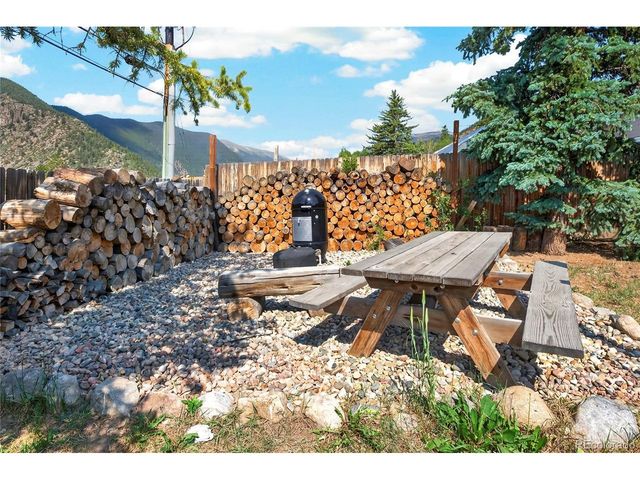336 E Mountain Ave, Empire, CO 80438