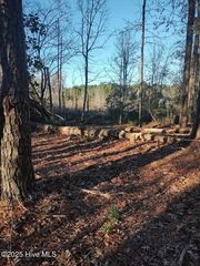 1251 Black Bear Run SW, Supply, NC 28462
