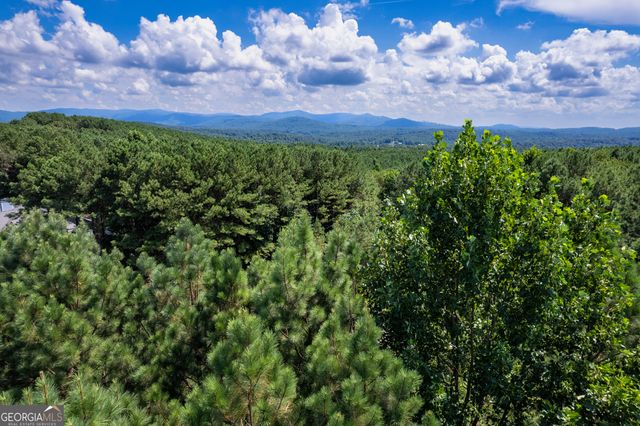 9 Foxpaw Leaf Court 9, East Ellijay, GA 30536