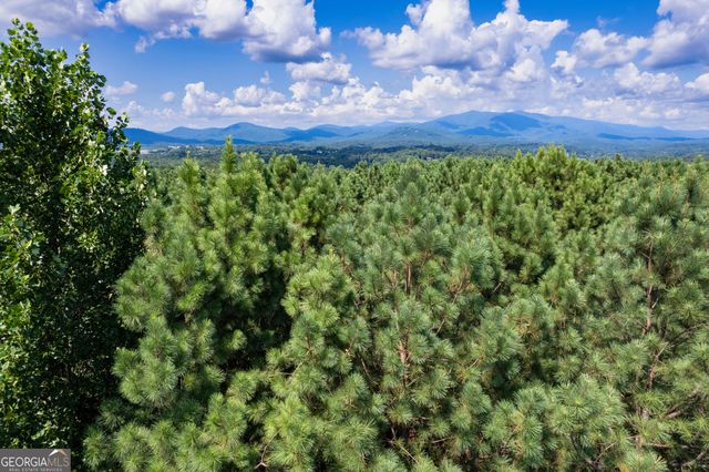 9 Foxpaw Leaf Court 9, East Ellijay, GA 30536