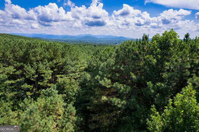9 Foxpaw Leaf Court 9, East Ellijay, GA 30536