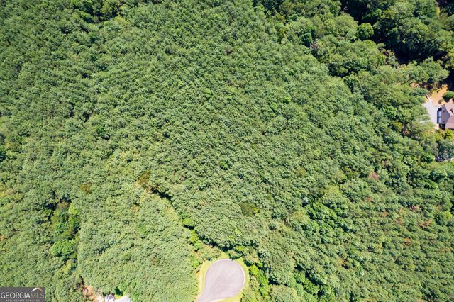 9 Foxpaw Leaf Court 9, East Ellijay, GA 30536