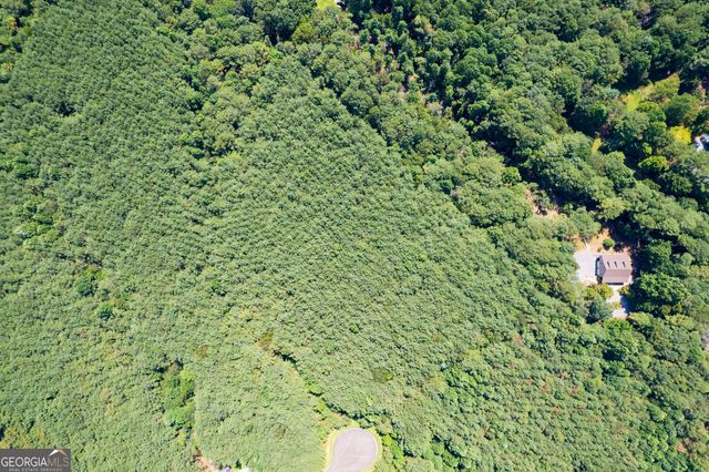 9 Foxpaw Leaf Court 9, East Ellijay, GA 30536
