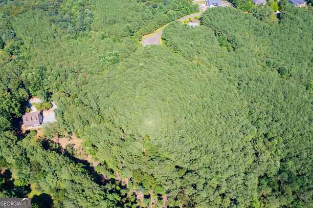 9 Foxpaw Leaf Court 9, East Ellijay, GA 30536