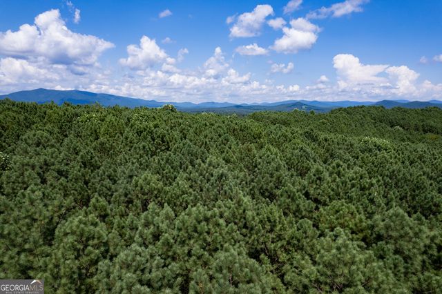 9 Foxpaw Leaf Court 9, East Ellijay, GA 30536