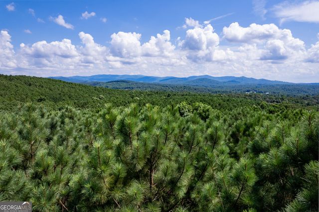 9 Foxpaw Leaf Court 9, East Ellijay, GA 30536