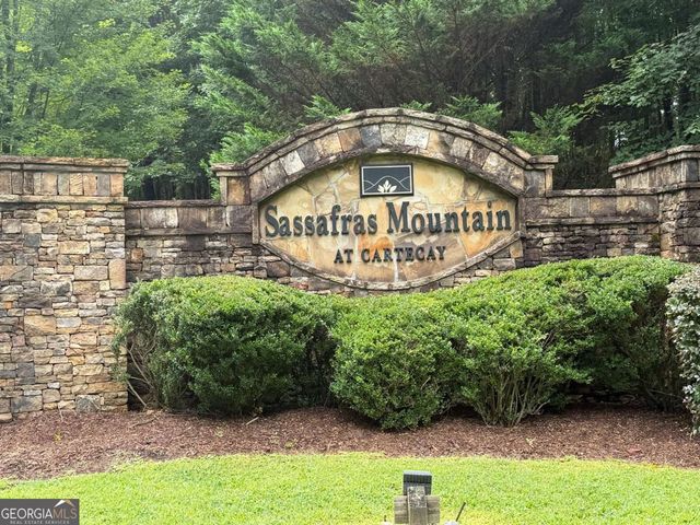 9 Foxpaw Leaf Court 9, East Ellijay, GA 30536