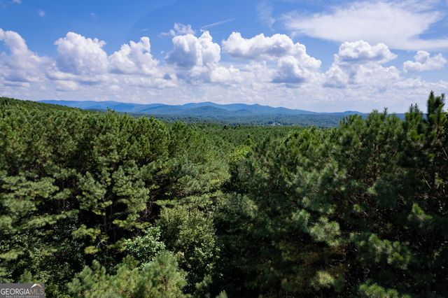 9 Foxpaw Leaf Court 9, East Ellijay, GA 30536
