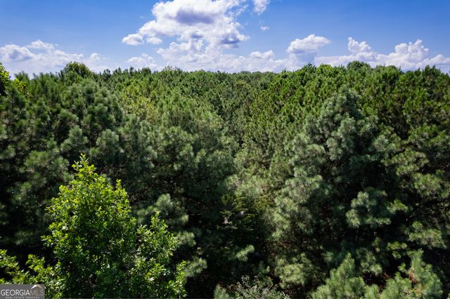 9 Foxpaw Leaf Court 9, East Ellijay, GA 30536