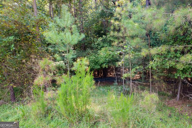9 Foxpaw Leaf Court 9, East Ellijay, GA 30536