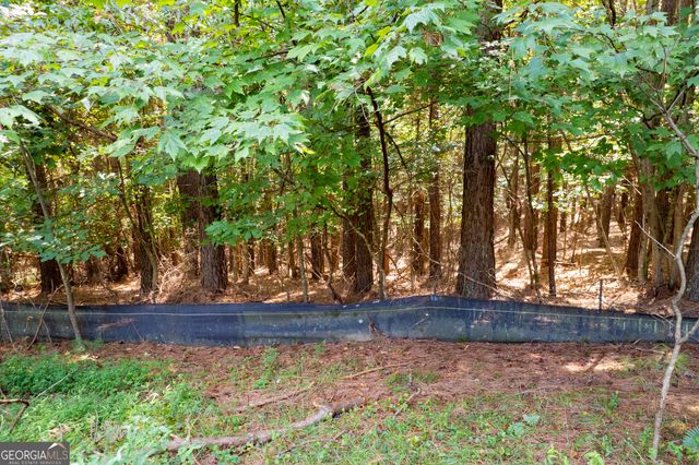 9 Foxpaw Leaf Court 9, East Ellijay, GA 30536
