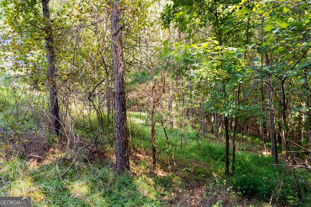 9 Foxpaw Leaf Court 9, East Ellijay, GA 30536