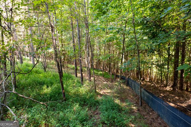 9 Foxpaw Leaf Court 9, East Ellijay, GA 30536