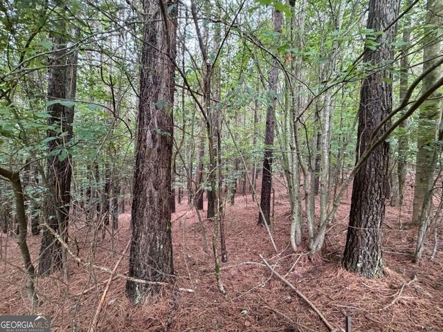9 Foxpaw Leaf Court 9, East Ellijay, GA 30536
