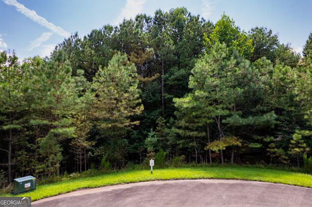9 Foxpaw Leaf Court 9, East Ellijay, GA 30536