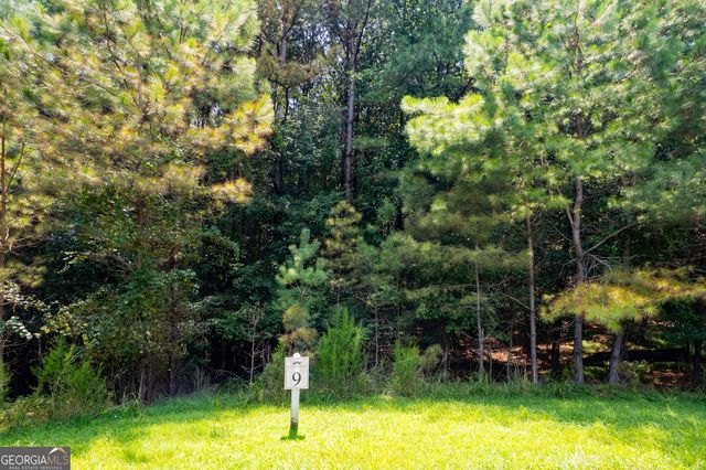 9 Foxpaw Leaf Court 9, East Ellijay, GA 30536