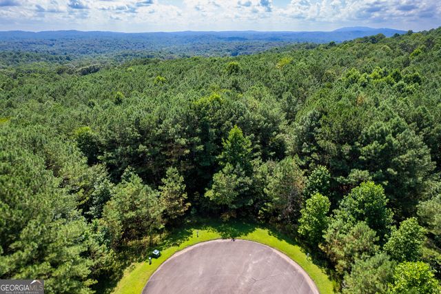 9 Foxpaw Leaf Court 9, East Ellijay, GA 30536