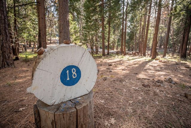 4812 Meko Dr, Camp Connell, CA 95223