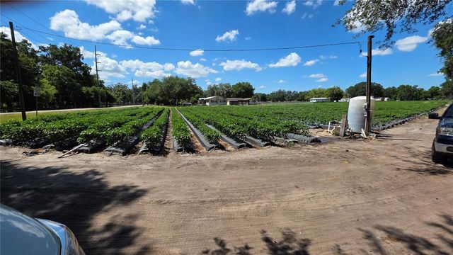 GALLAGHER ROAD, Dover, FL 33527