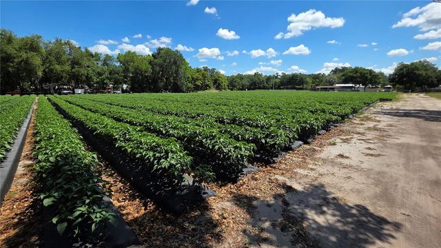 GALLAGHER ROAD, Dover, FL 33527