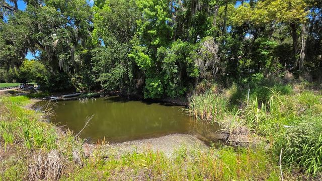 GALLAGHER ROAD, Dover, FL 33527