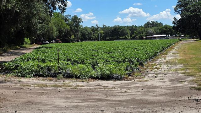 GALLAGHER ROAD, Dover, FL 33527