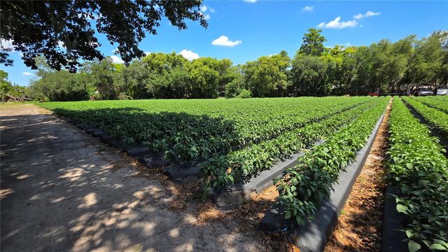 GALLAGHER ROAD, Dover, FL 33527