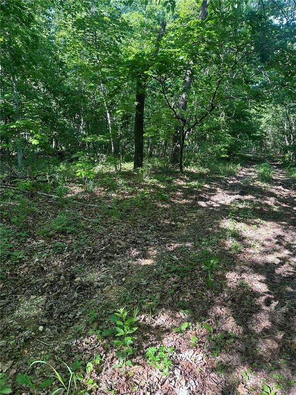 TBD Karen Lane, Bella Vista, AR 72715