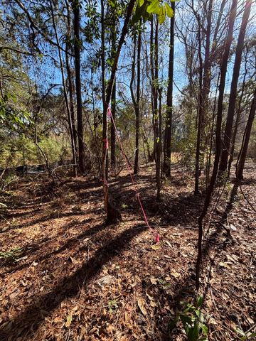 336 Drayton Street, Mcclellanville, SC 29458