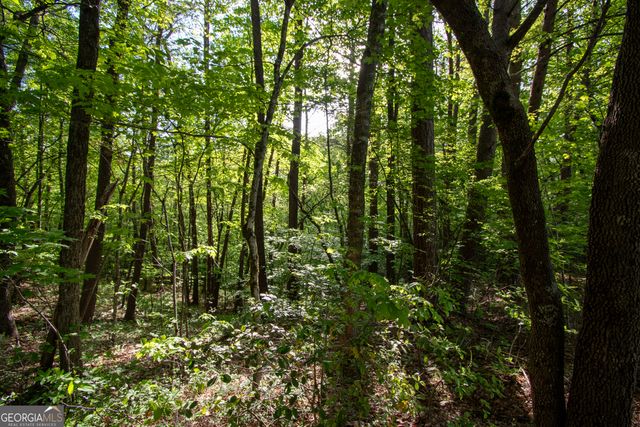 LOT 36 Mountain Top Road, Marble, NC 28905