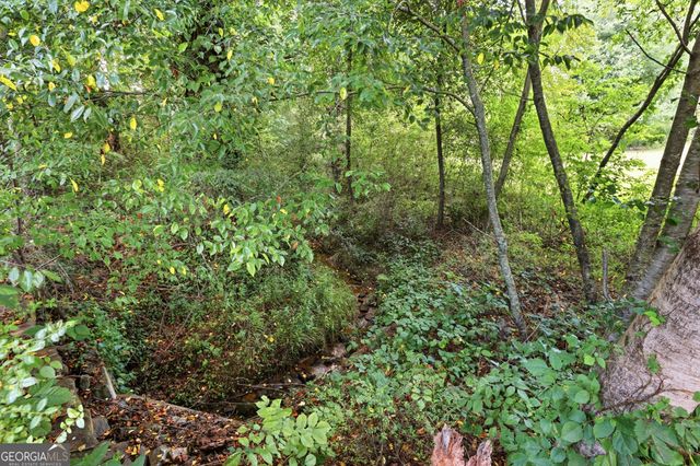 5911 Wauka Valley Pass, Clermont, GA 30527