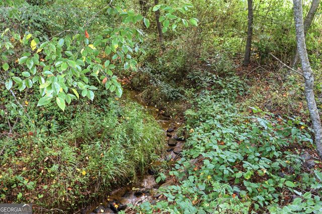 5911 Wauka Valley Pass, Clermont, GA 30527