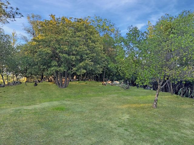 10095 Birchville Rd, Nevada City, CA 95959