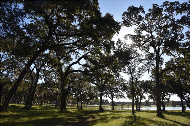 OFF HWY 301, Summerfield, FL 34491