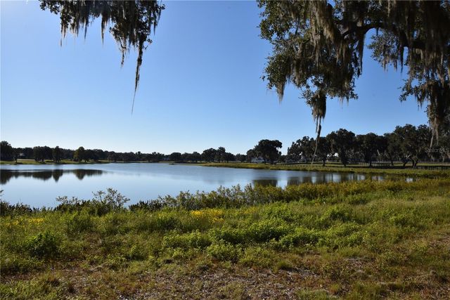 OFF HWY 301, Summerfield, FL 34491