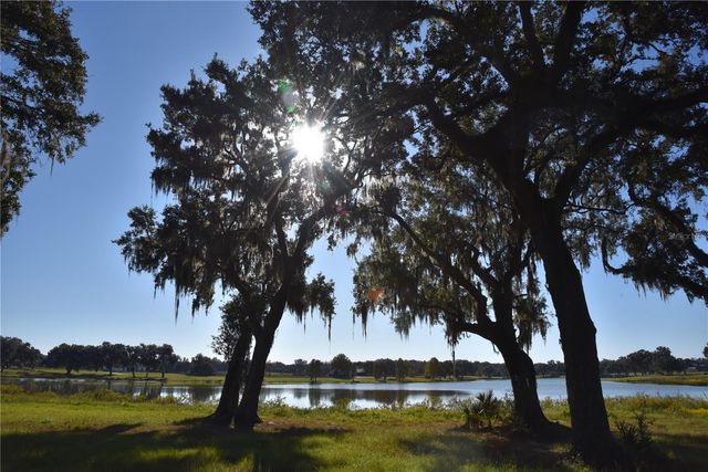 OFF HWY 301, Summerfield, FL 34491