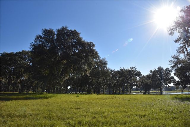 OFF HWY 301, Summerfield, FL 34491