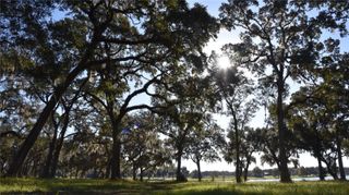 OFF HWY 301, Summerfield, FL 34491