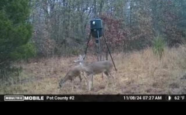 00 Okay S 40 Acres Road, Tecumseh, OK 74873