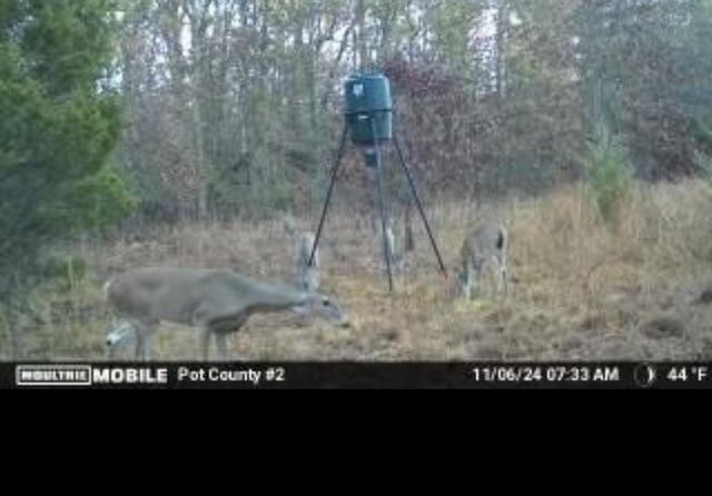 00 Okay S 40 Acres Road, Tecumseh, OK 74873