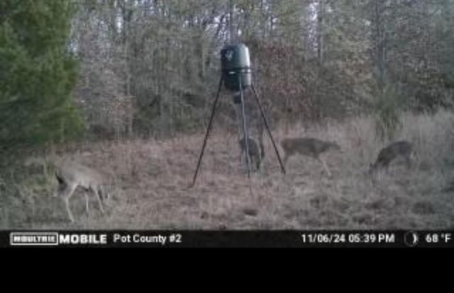 00 Okay S 40 Acres Road, Tecumseh, OK 74873